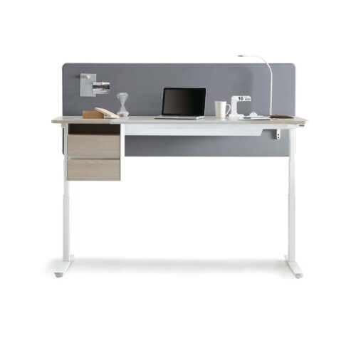 Enable Motion Desk